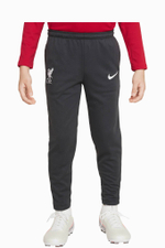 Штаны Nike Liverpool FC 22/23 Dry Academy Pro Little Kids