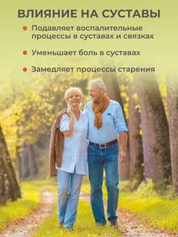 Куркумин (60 капсул)