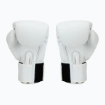 Боксёрские перчатки Twins Special BGVS3 white