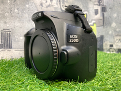 Canon EOS 250D (13.000 кадров) Покупка/Продажа