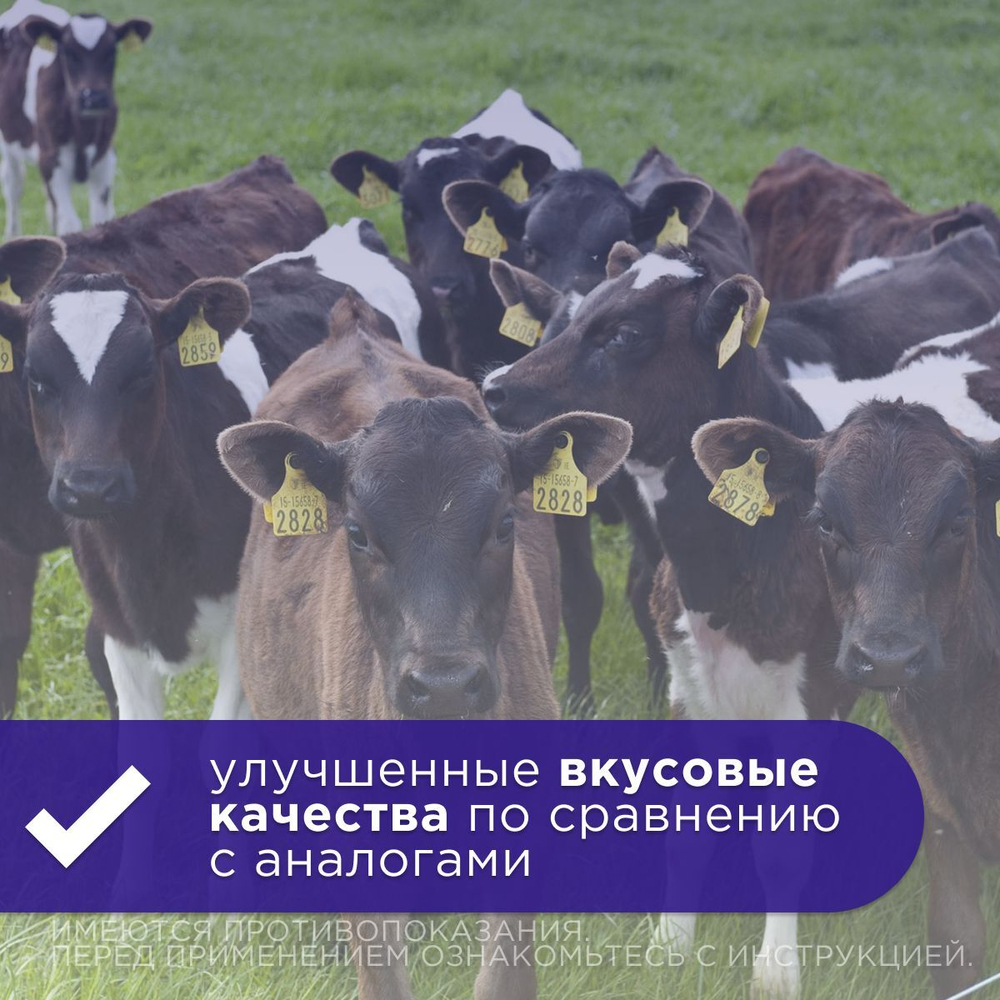 Суспензия для щенков и сельхоз животных для лечения и профилактики кокцидиозов Аписенна СТОП-КОКЦИД 100мл, Толтразурил 50мг