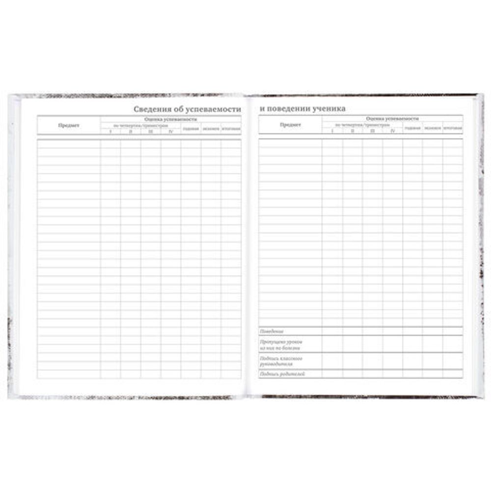 Дневник 5-11 класс 48 л., твердый, BRAUBERG, глянцевая ламинация, с подсказом, "Крутой Байк", 106391