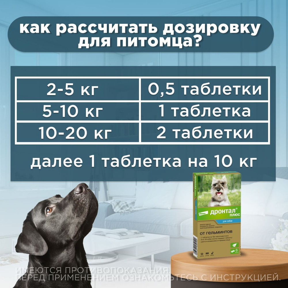 Таблетки для собак от гельминтов и лямблий со вкусом мяса Дронтал плюс, 6 таблеток в упаковке. Празиквантел/Пирантел эмбонат/Фебантел