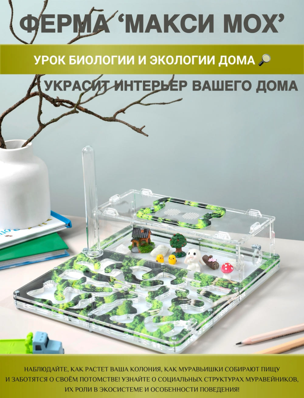 Большой Формикарий «Макси Мох" с муравьями в подарок