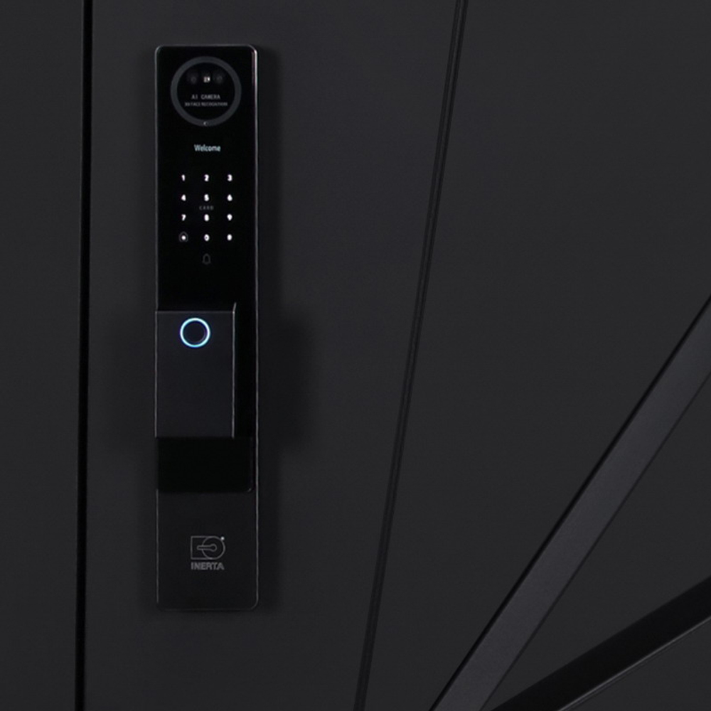 Стальная дверь "Амстердам" (биометрический замок Y12). Заказная модель.