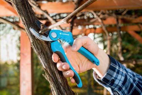 Секатор CELLFAST IDEALLINE контактный