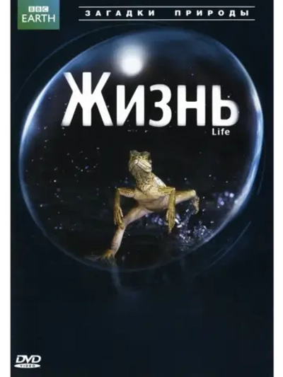 BBC: Жизнь (2009) (5 DVD) (DVD-R)