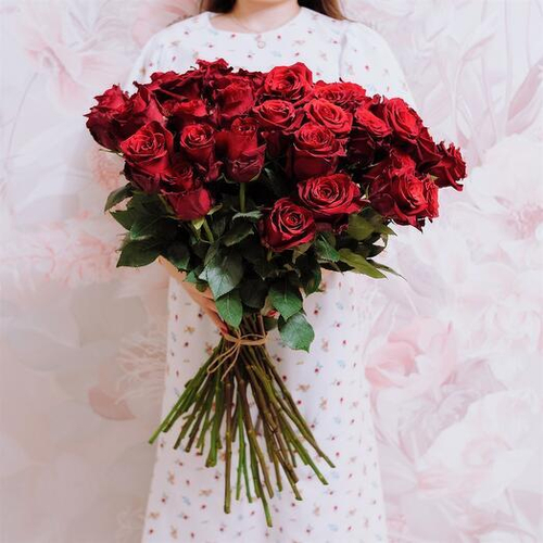 Роза Эксплорер Эквадор 60-70 см. Цветы поштучно 004 Chalet Green