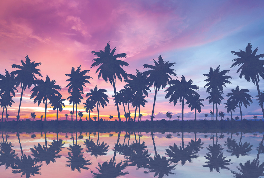 Коллекция Relax