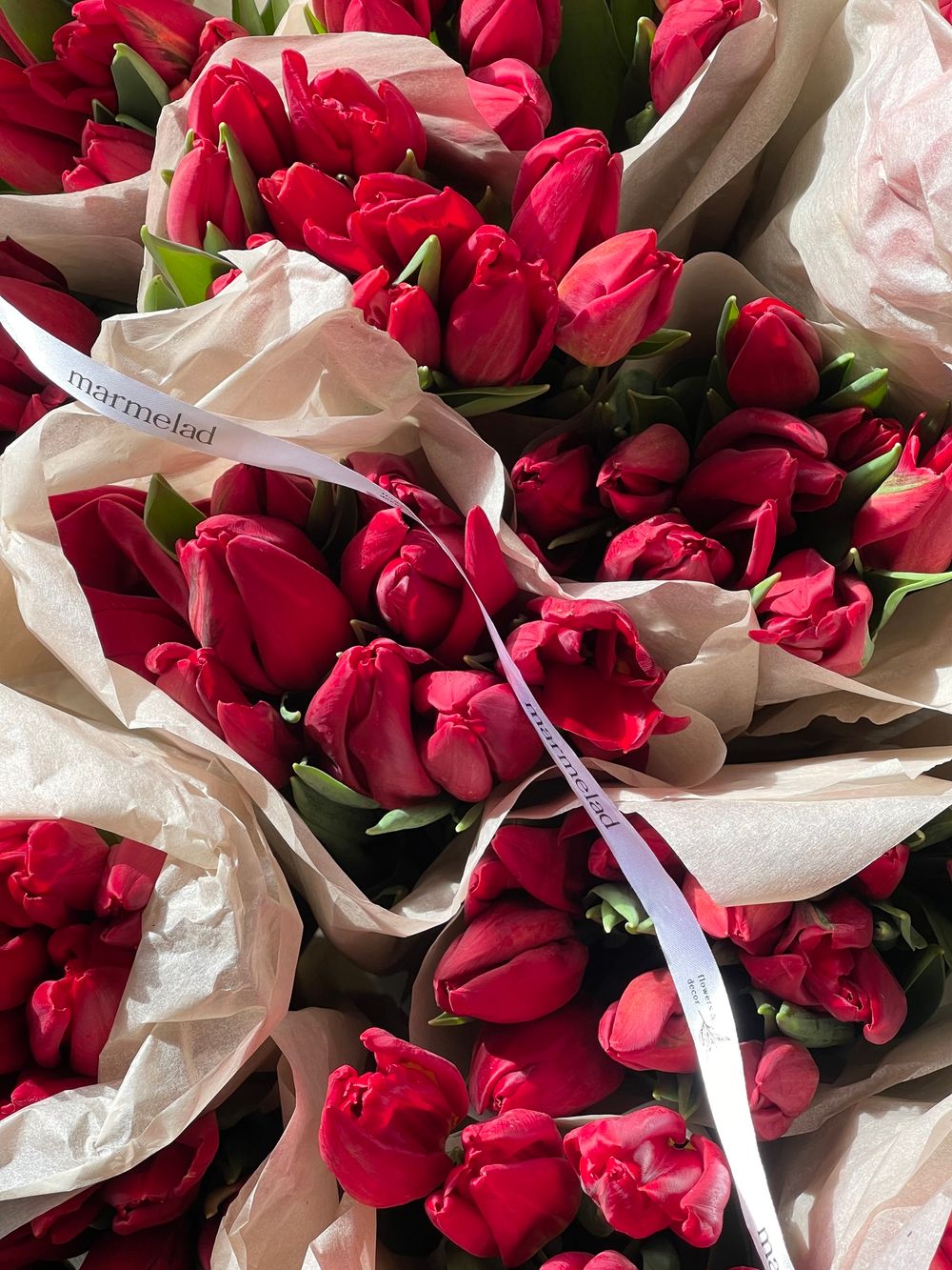 Тюльпаны классика - красный цвет