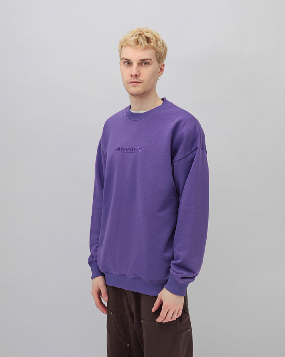 Толстовка ANTEATER Crewneck-Violet .