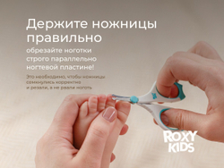 Ножницы детские маникюрные для новорожденных и малышей ROXY-KIDS с прорезиненными ручками и чехлом, цвет голубой