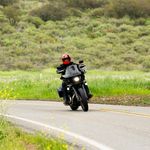 Gringo Flames / Оранжевый