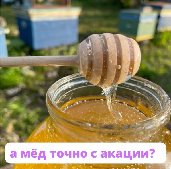 МЁД ТОЧНО С АКАЦИИ?