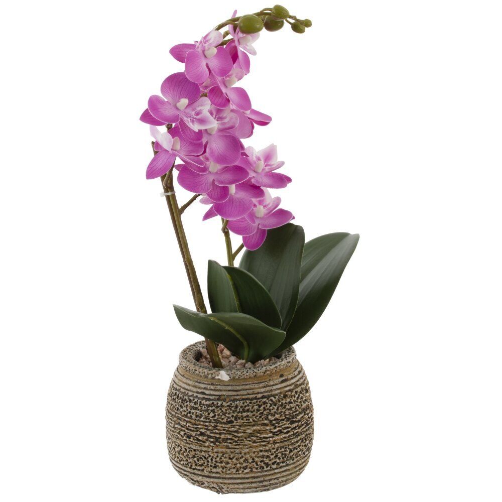 GAEM Цветочная композиция "Орхидея", L11 W11,5 H36,5 см