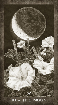 New Era Elements Tarot / Таро Элементы Новой Эры