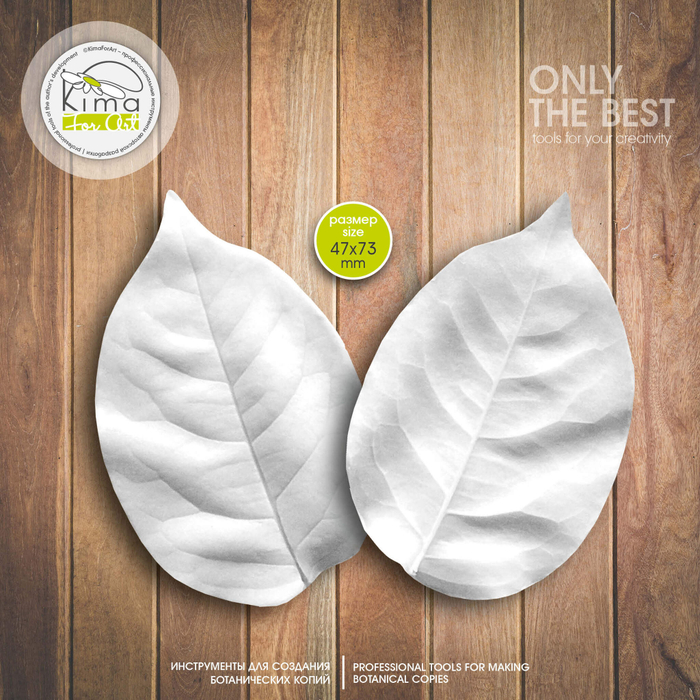 Роза лист средний