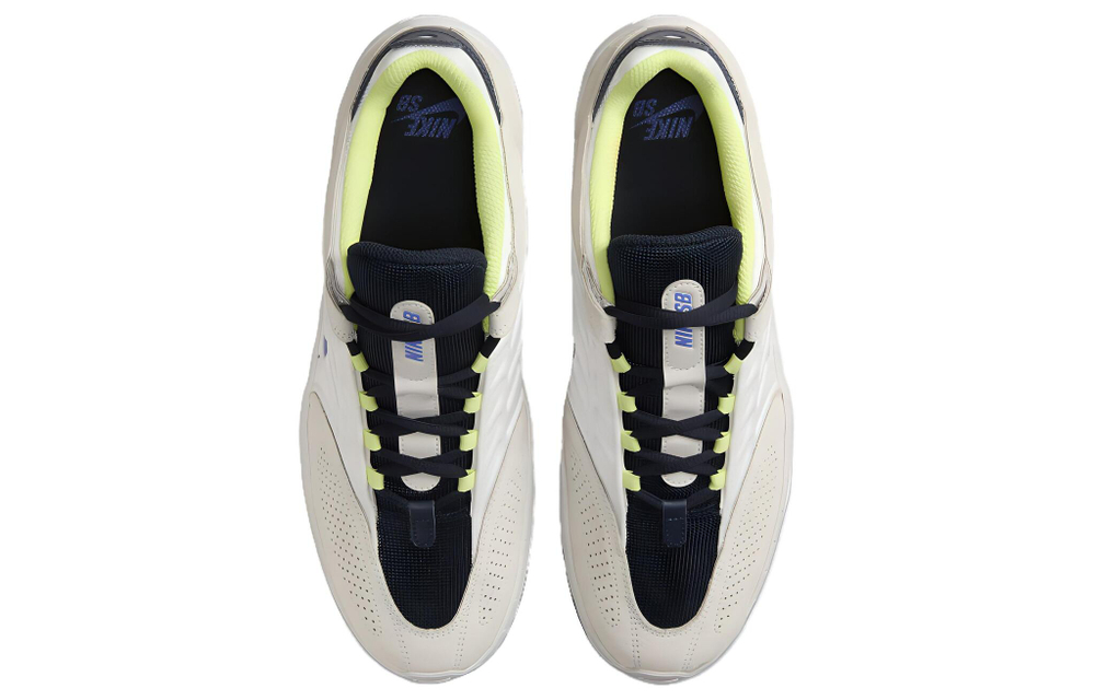 Кроссовки Nike Sb Vertebrae
