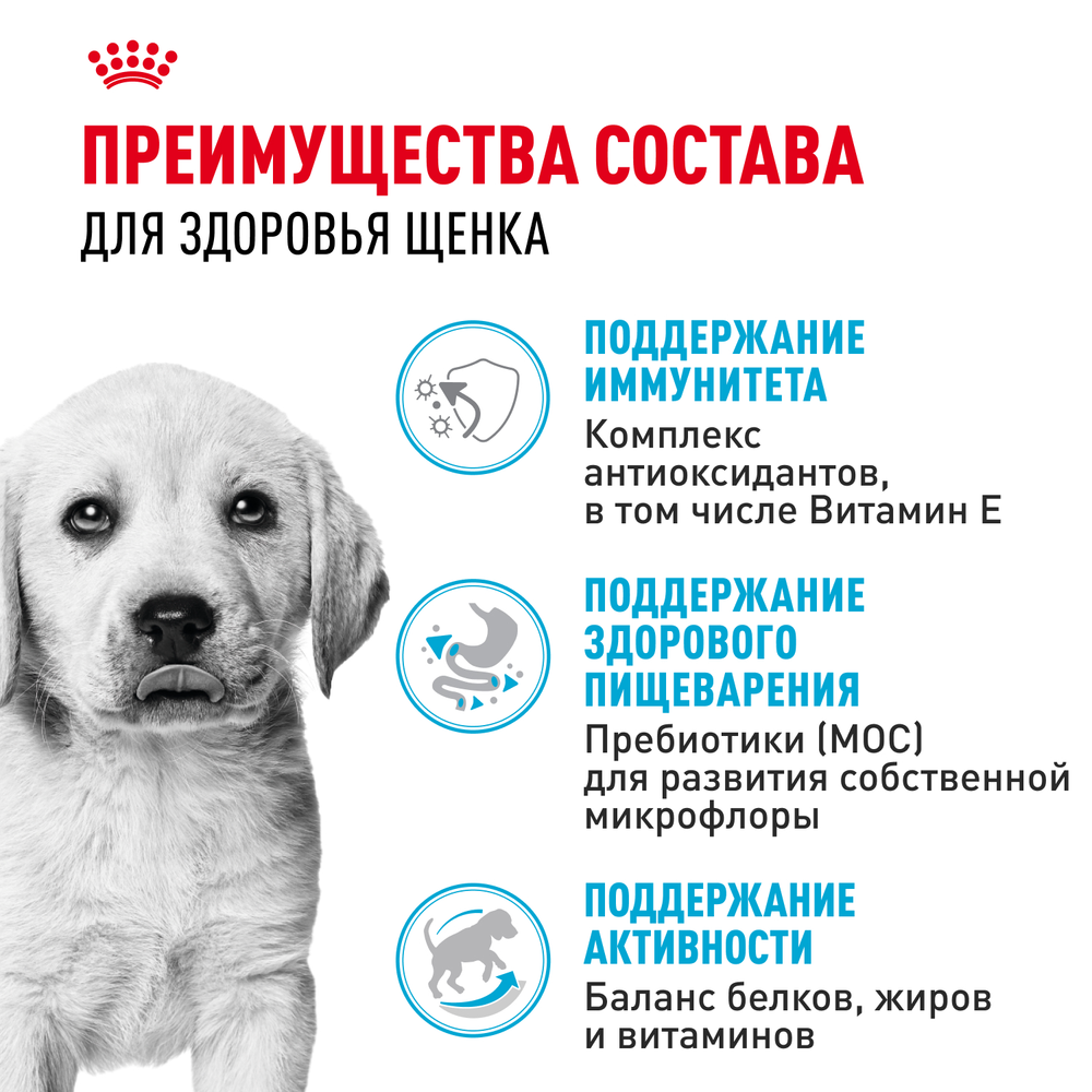 Royal Canin Labrador Retriever Puppy Лабрадор Ретривер Паппи Корм сухой для щенков породы Лабрадор Ретривер до 15 месяцев 3кг