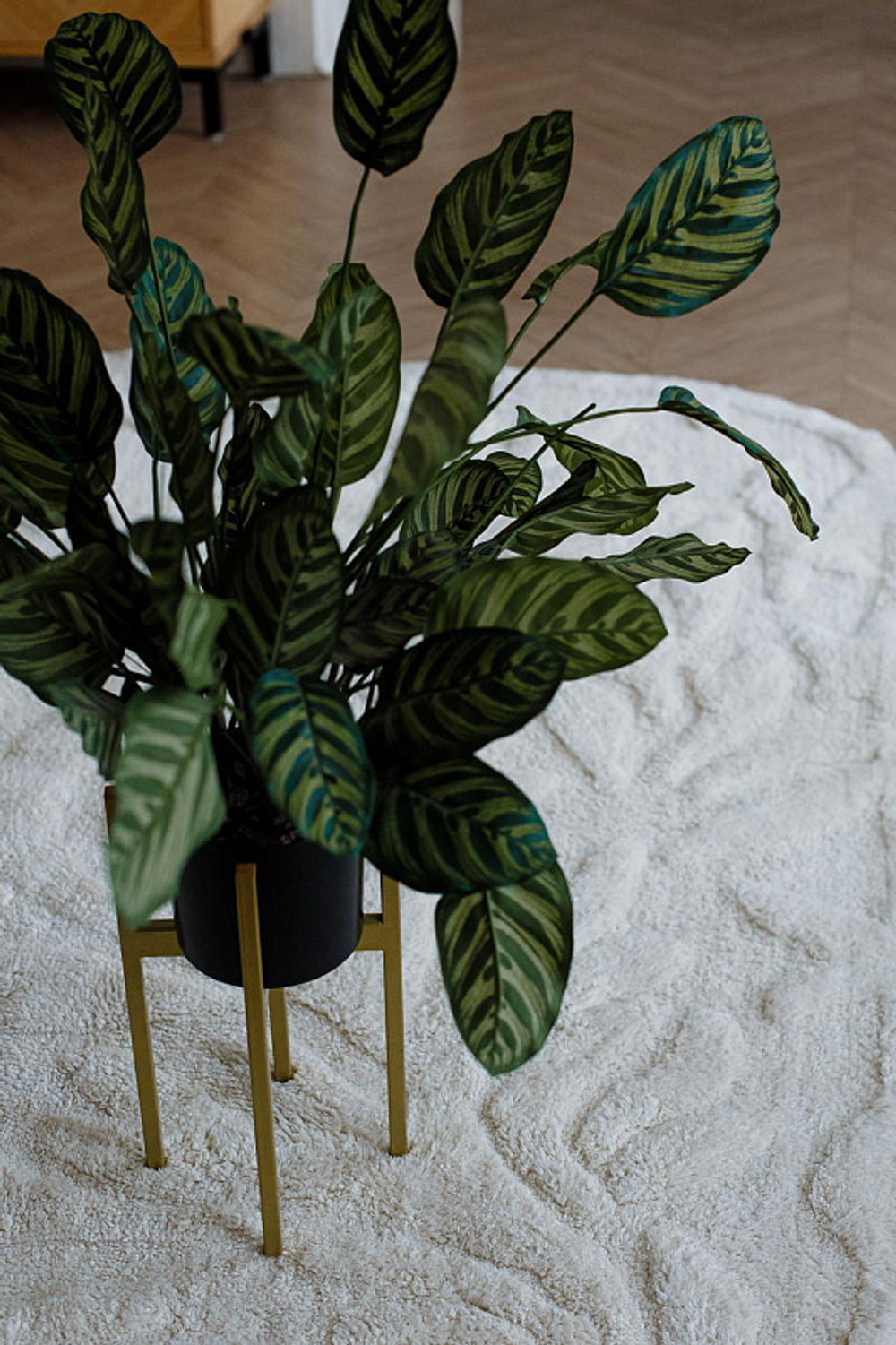 Хлопковый ковер Lillaland SANKOFA 190х290 см