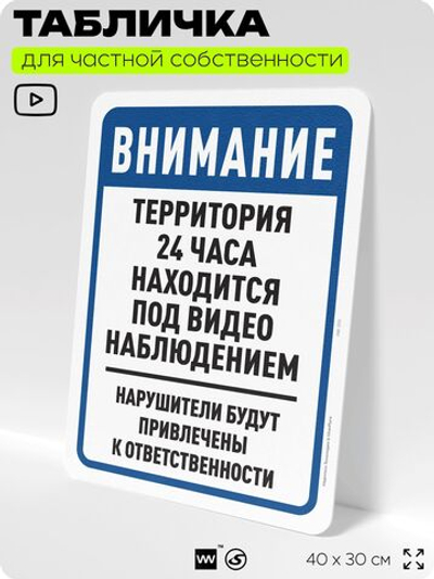 Табличка для частной территории "Внимание, территория находится под видеонаблюдением", на дом, для участка, организаций, предупреждающая, 40х30 см, Silver Plane x Айдентика Технолоджи