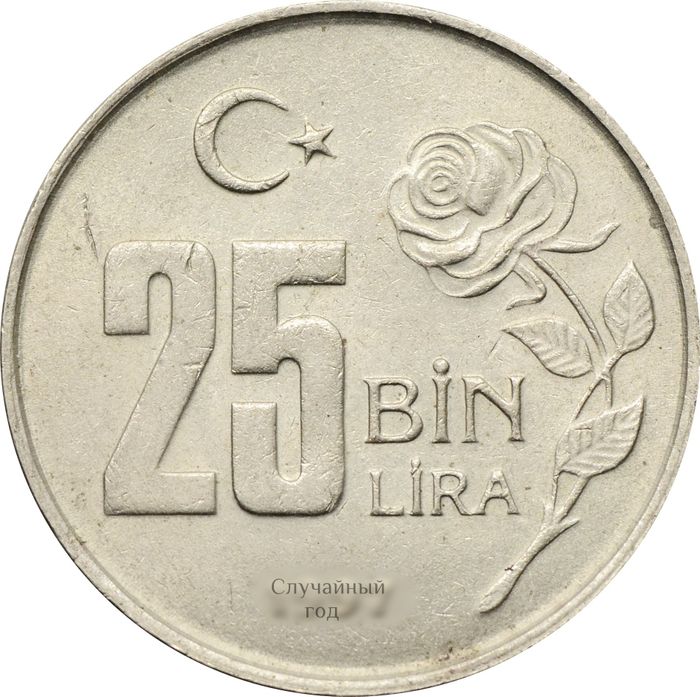 25 000 лир 1995-2000 Турция (25 Bin Lira)