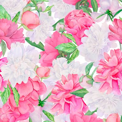 Пионовое поле