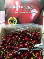 черешня чилийская сорт Bing, lapins ,Van.