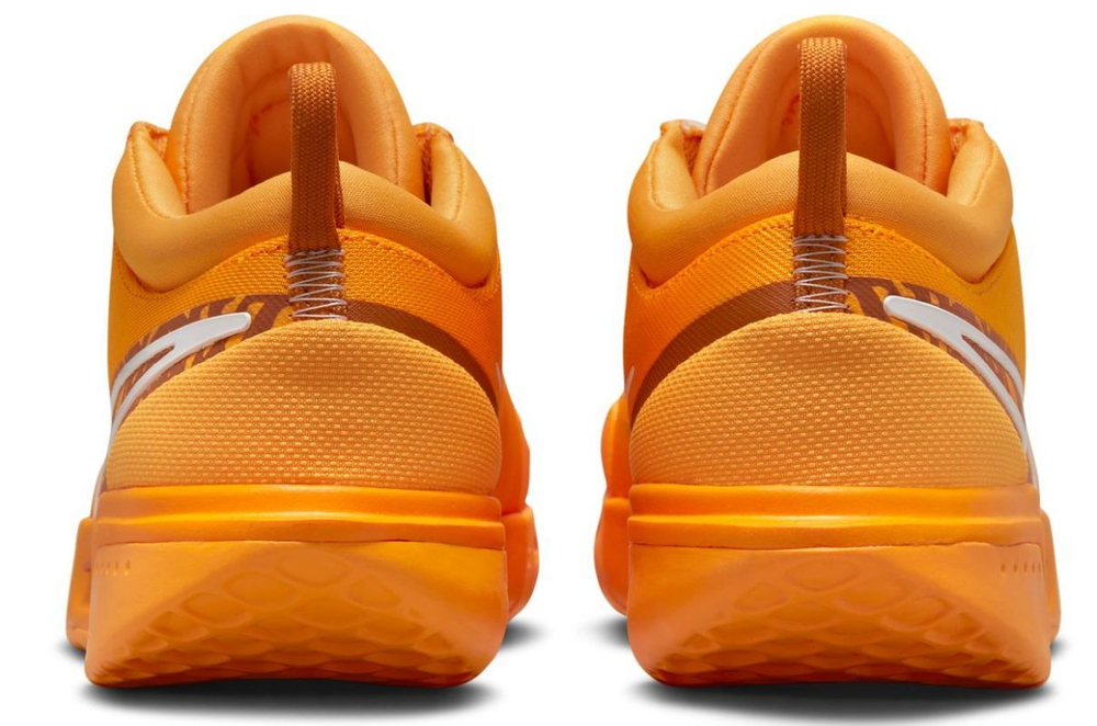 Мужские кроссовки теннисные Nike Zoom Court Pro Clay - sundial/white/monarch