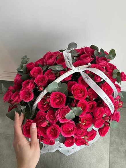 собран сегодня #09