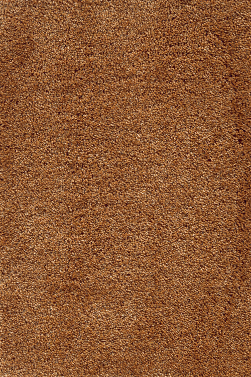 Ковровое покрытие AW Leda 48