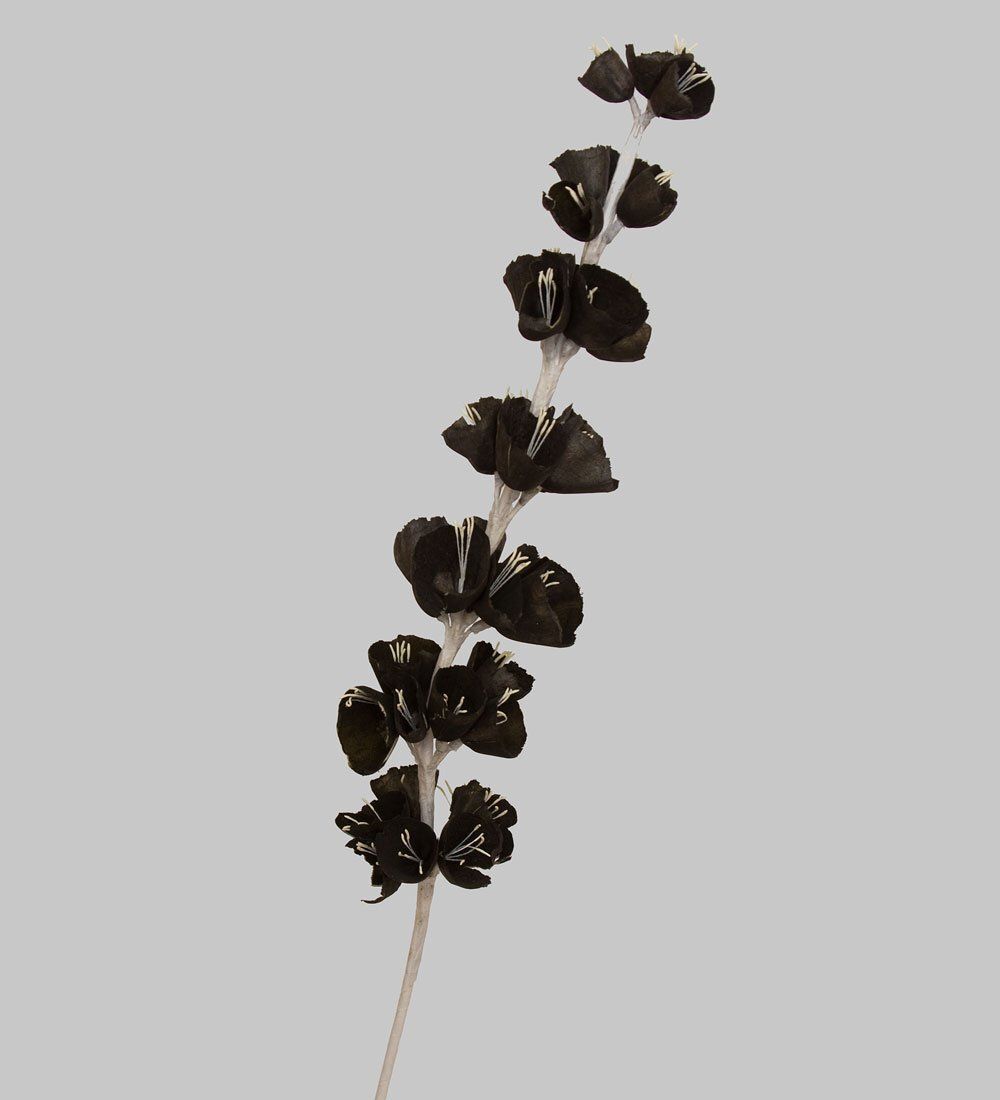 TR 314 Колокольчик