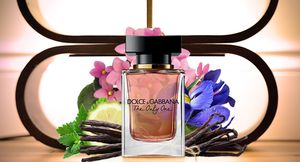 Dolce and Gabbana The Only One Eau De Parfum