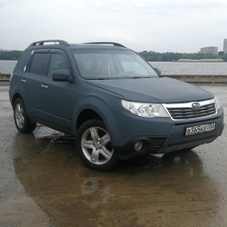 Галерея Раптор