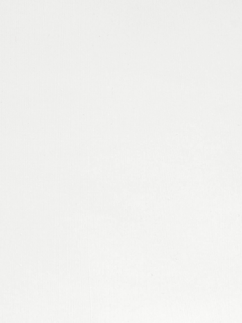 Масляная краска Белила цинковые 40 мл