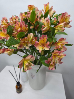 Букет "Альстромерия"❤️