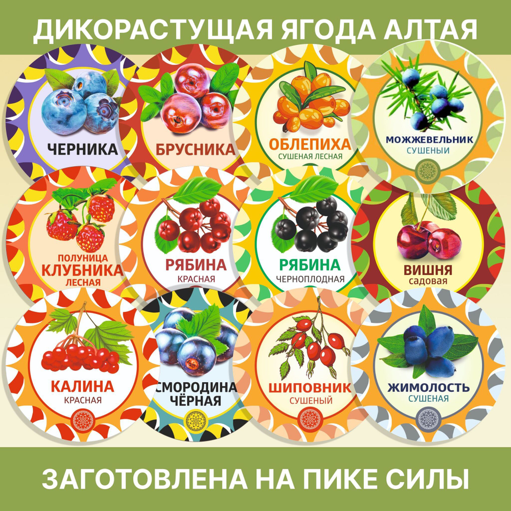 Одуванчика корень.
