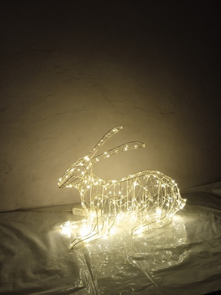 Заяц лежачий