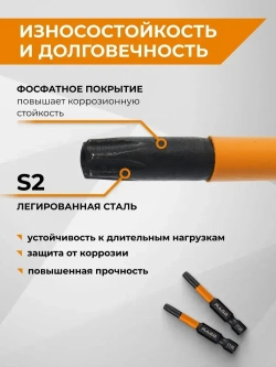 Набор бит торсионных IMPACT 2 шт TORX T20 S2 х 50 мм RAGE by VIRA