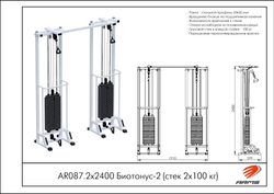 Биотонус-2 (стек 2х100кг)
