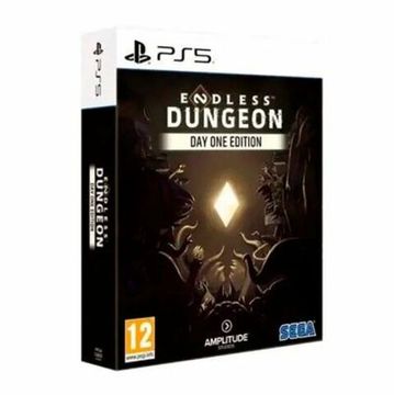 PS5 Endless Dungeon Day One Edition PPSA-02665 (Русские субтитры)