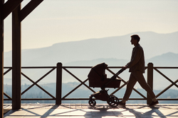 Детская коляска Anex l/type 3 в 1 Hazel