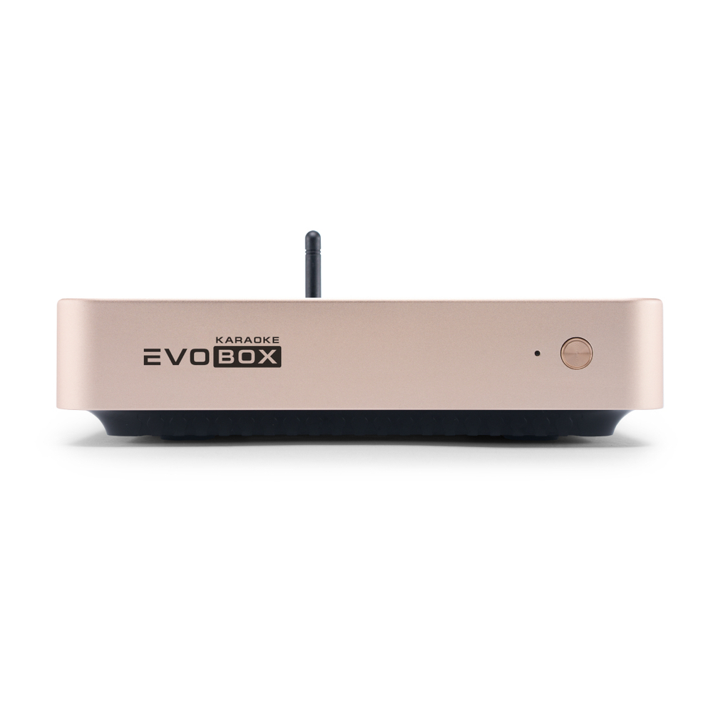 Караоке-система для дома Evolution EvoBox Plus с цифровыми микрофонами и EvoCase в комплекте