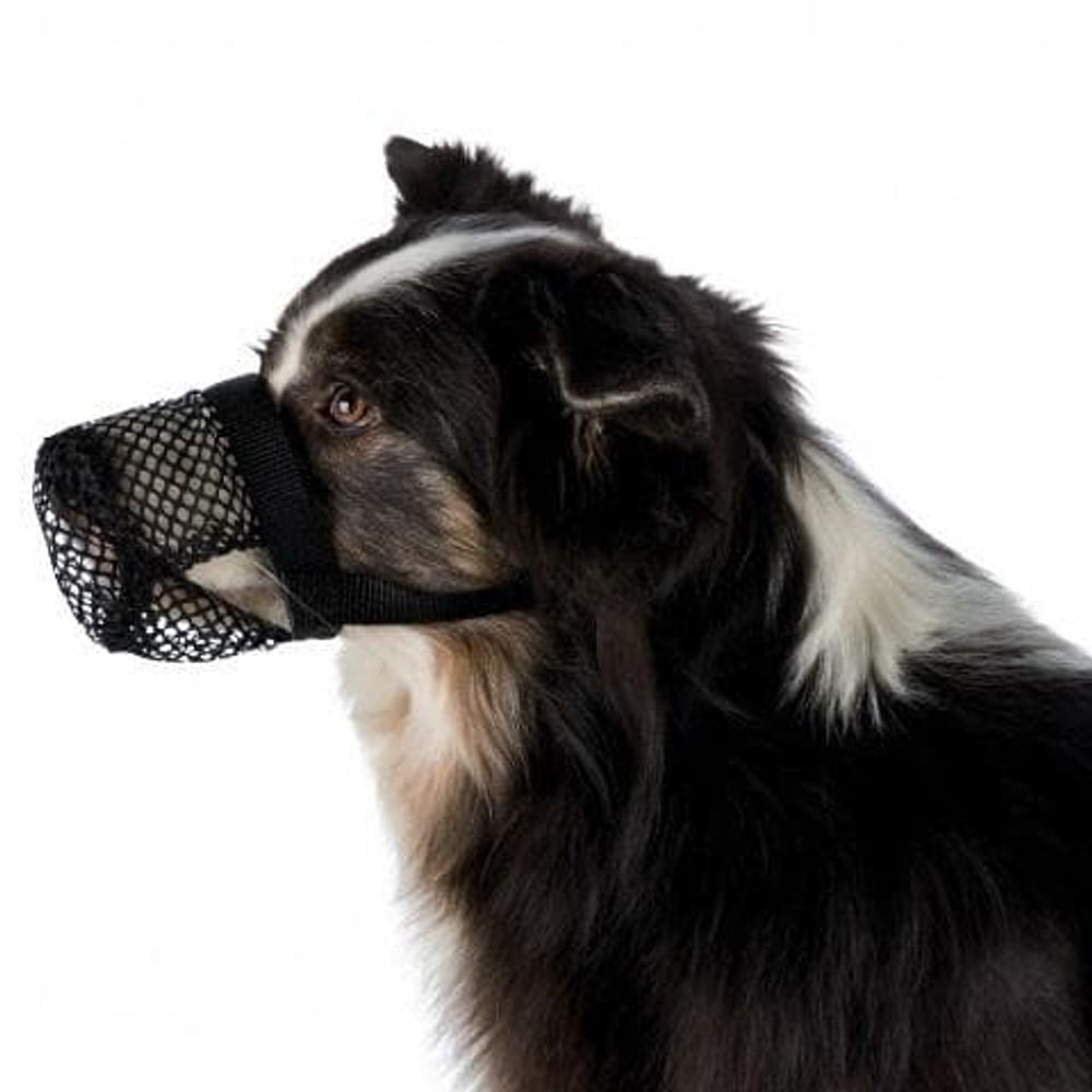 Защита от отравленных приманок (сетка на морду), XS-S, 18-32 см, ø15 см Защита от отравленных приманок (сетка на морду), XS-S, 18-32 см, ø15 см