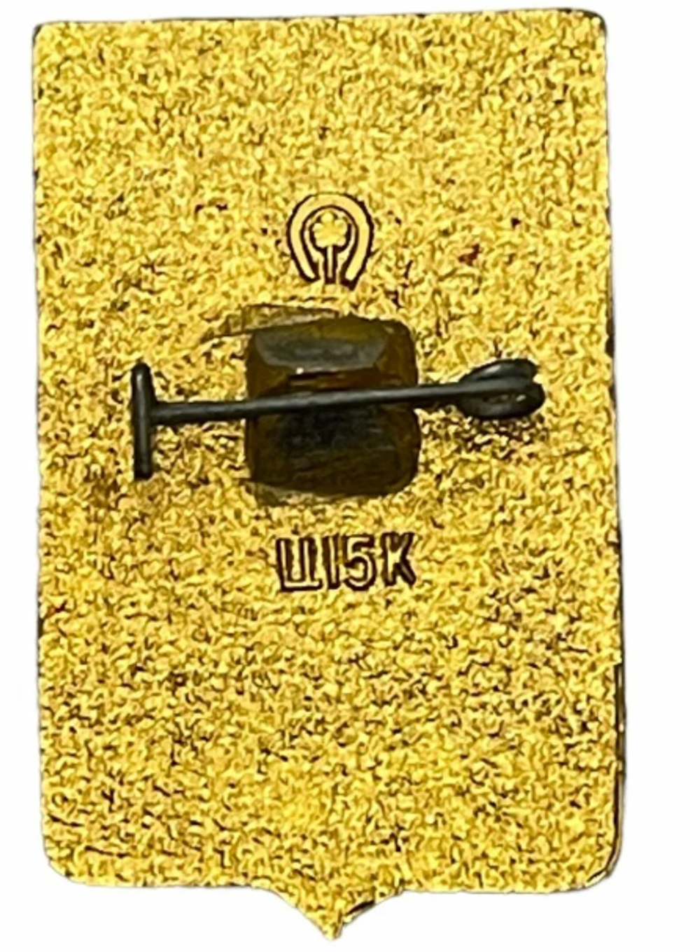 Значок СССР Беднодемьяновск