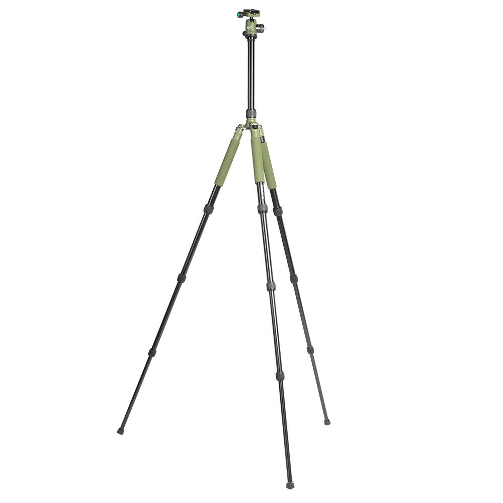 Falcon Eyes Green Line 1550 BH-10