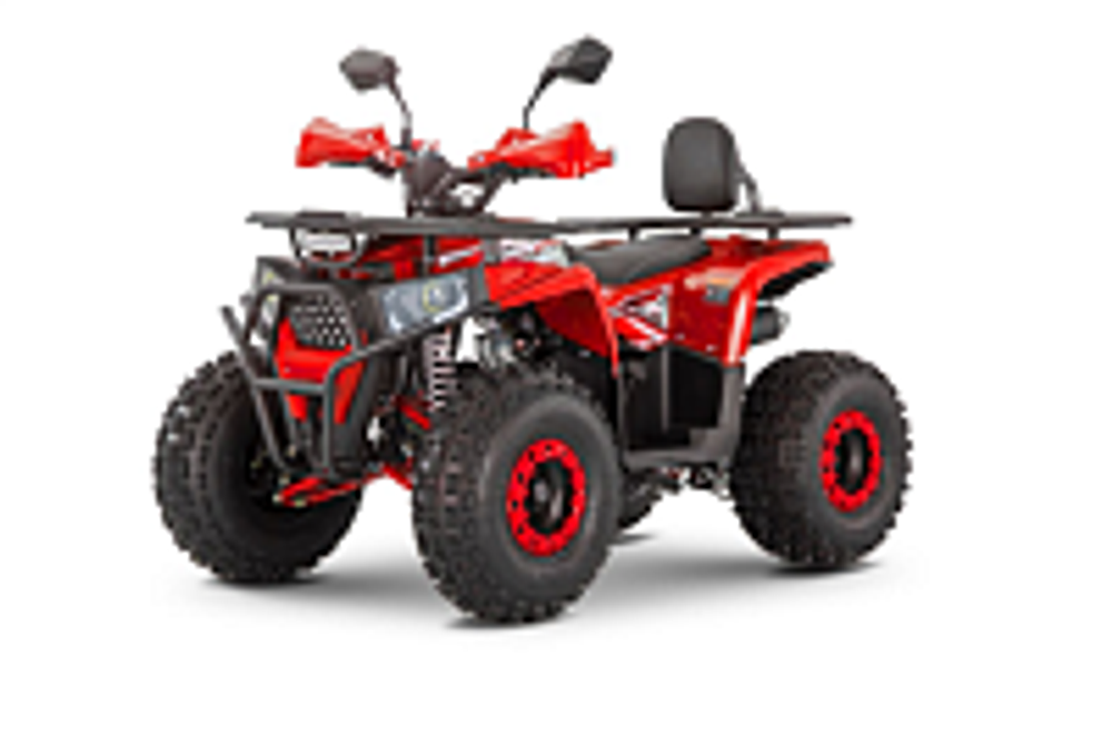 Квадроцикл WELS Trail 125 Pro