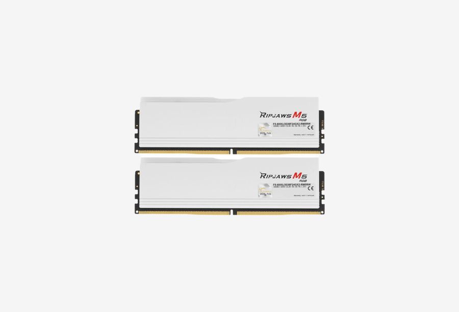 F5-6000J3036F24GX2-RM5RW_0226605104922