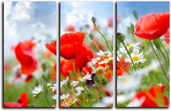 Модульная картина "Цветочная полянка"