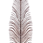 Ветка декоративная «Волшебное перо» 53 см, Шоколад